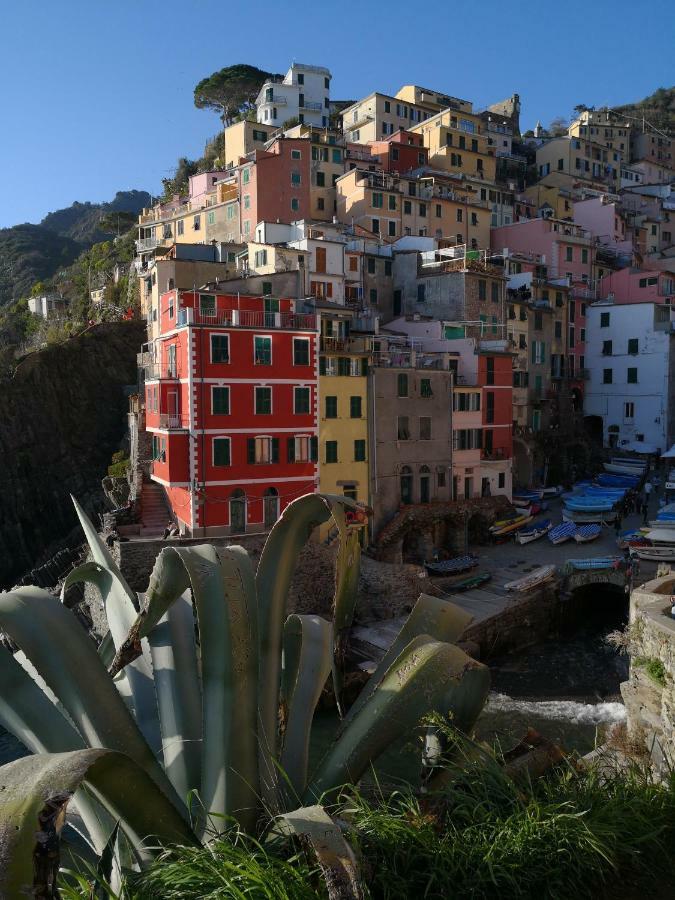 Il Giardino Di Riomaggiore Suite Eksteriør bilde